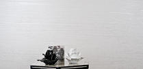 Ardesia фото. Oikos Венецианская штукатурка, краска и декоративные покрытия для стен. Ташкент.
